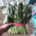 聊城精品大叶菠菜，产地直发，超市电商，社区团购，按需包装