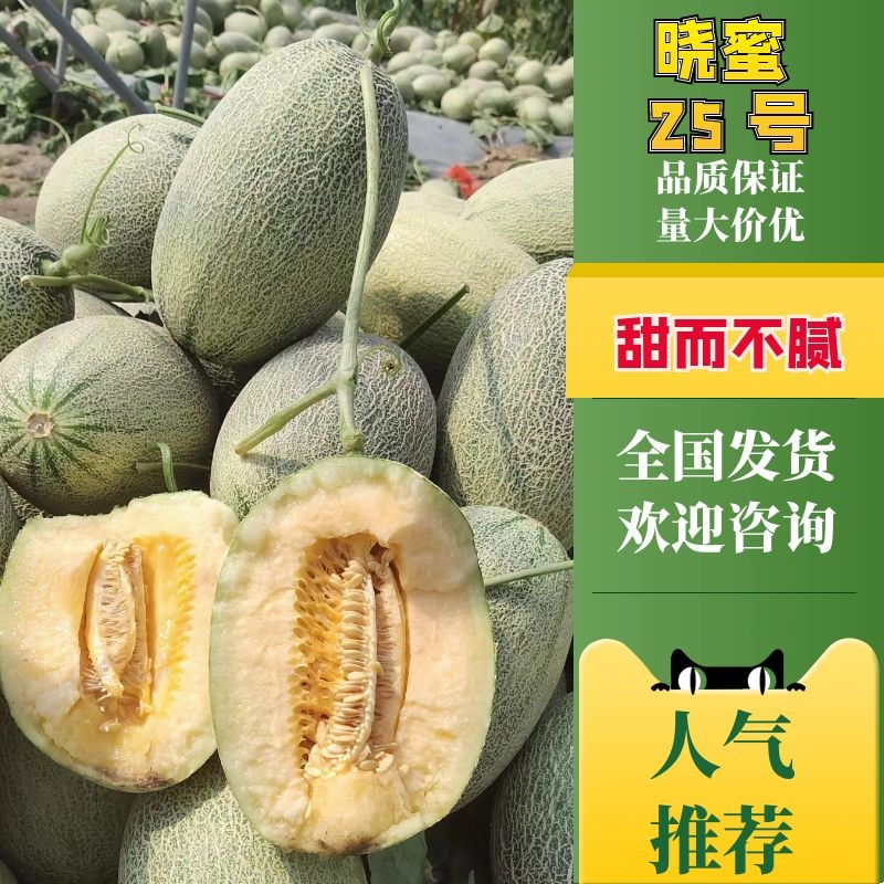 【精选】海南晓蜜25-产地直发-量大从优-价格优惠