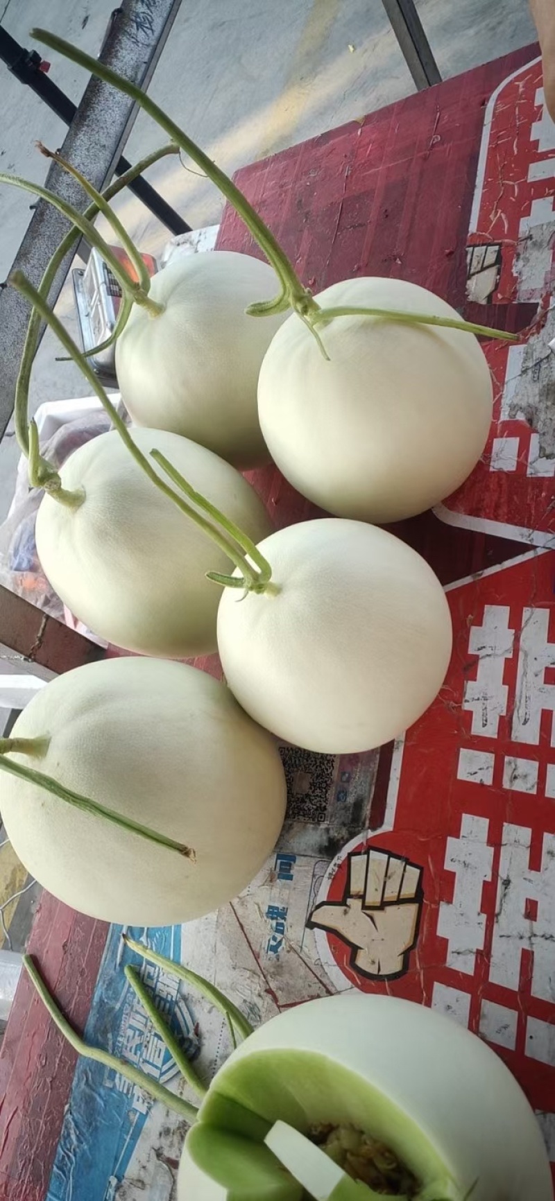 【优选】海南玉菇-产地直发-量大从优-价格优惠-可验货