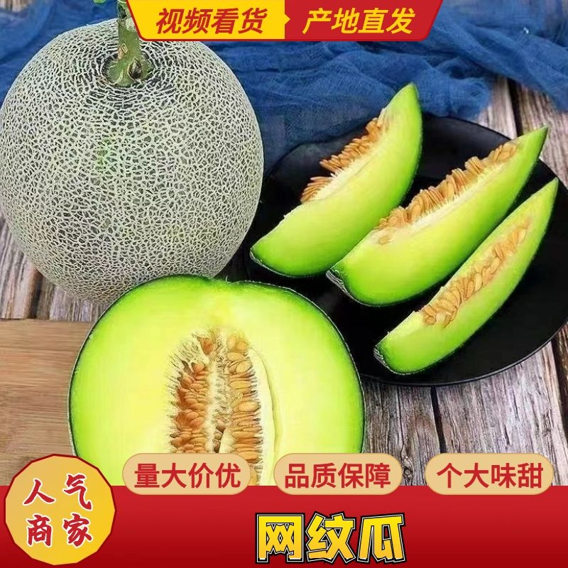 【优选】海南玫珑绿宝蜜瓜产地直发-量大从优-价格优惠