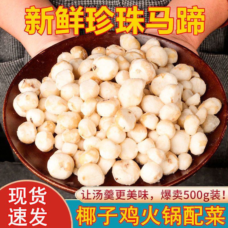 包邮荸荠新鲜珍珠削皮小马蹄海南椰子鸡火锅酒店餐厅煲汤配料