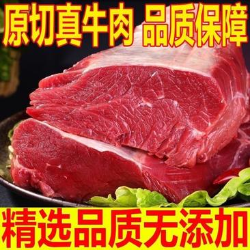 【正宗牛腿肉】国产新鲜牛腿肉冷鲜牛腿肉批发无注水顺丰包邮