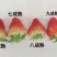 千亩红颜草莓基地，承接全国各地采购商前来咨询考察