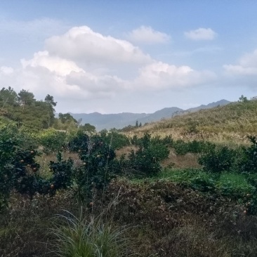 精品阴宅宝地，富地，好山，好水，喜好的欢迎细聊。