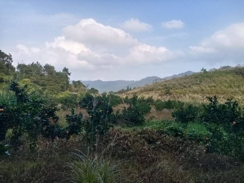 精品阴宅宝地，富地，好山，好水，喜好的欢迎细聊。