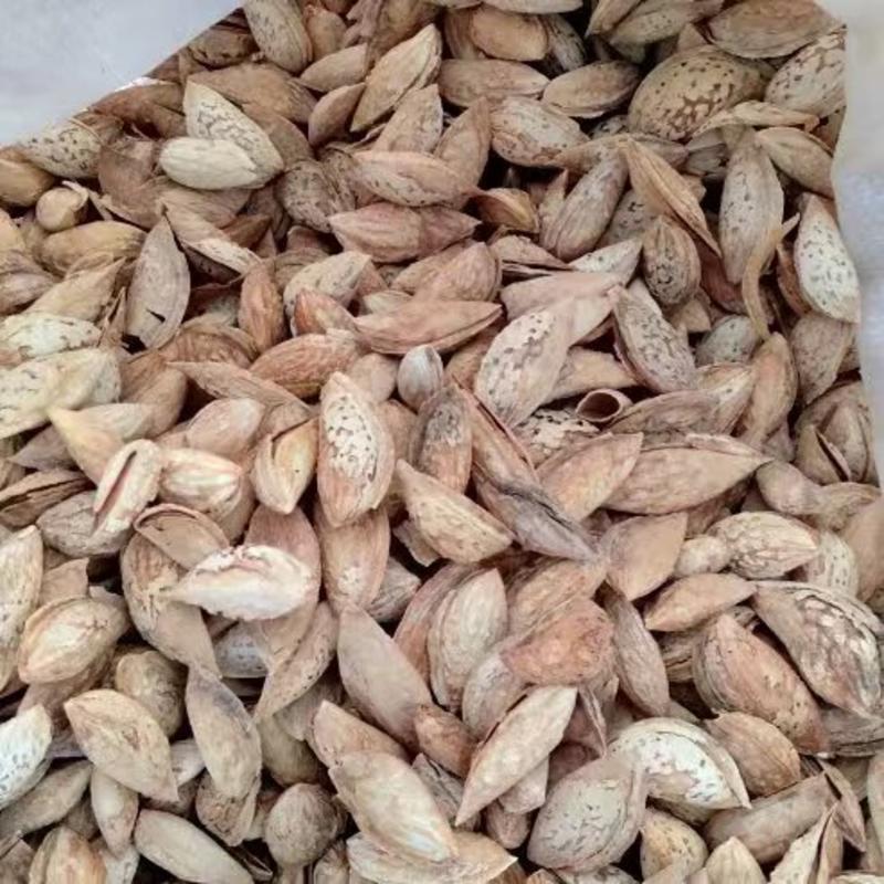 新疆喀什本地巴旦木纸皮巴旦木大量有货没有加工自然味