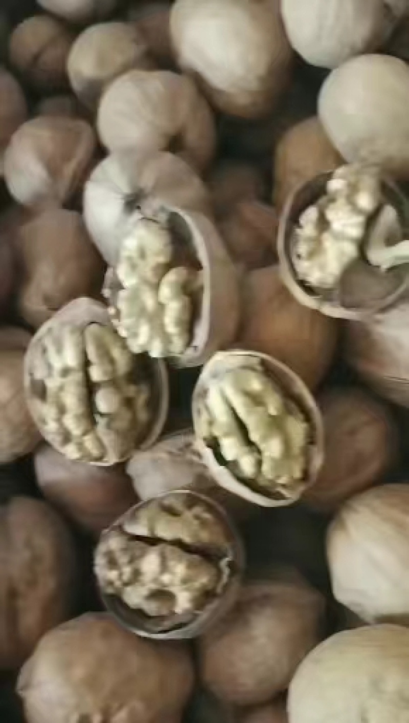 包邮水洗核桃新疆薄皮核桃批发价新疆核桃量大优惠