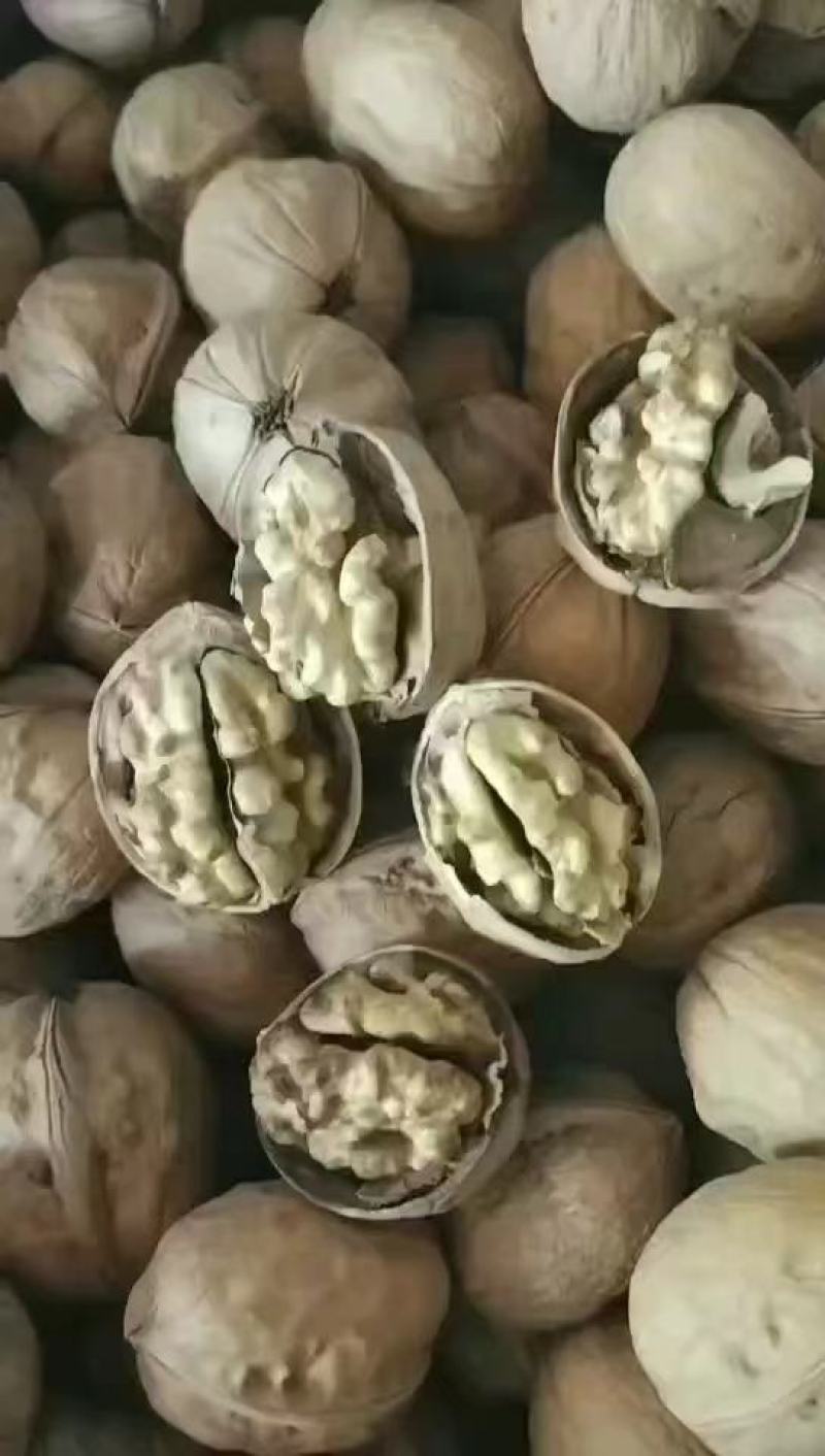 包邮水洗核桃新疆薄皮核桃批发价新疆核桃量大优惠