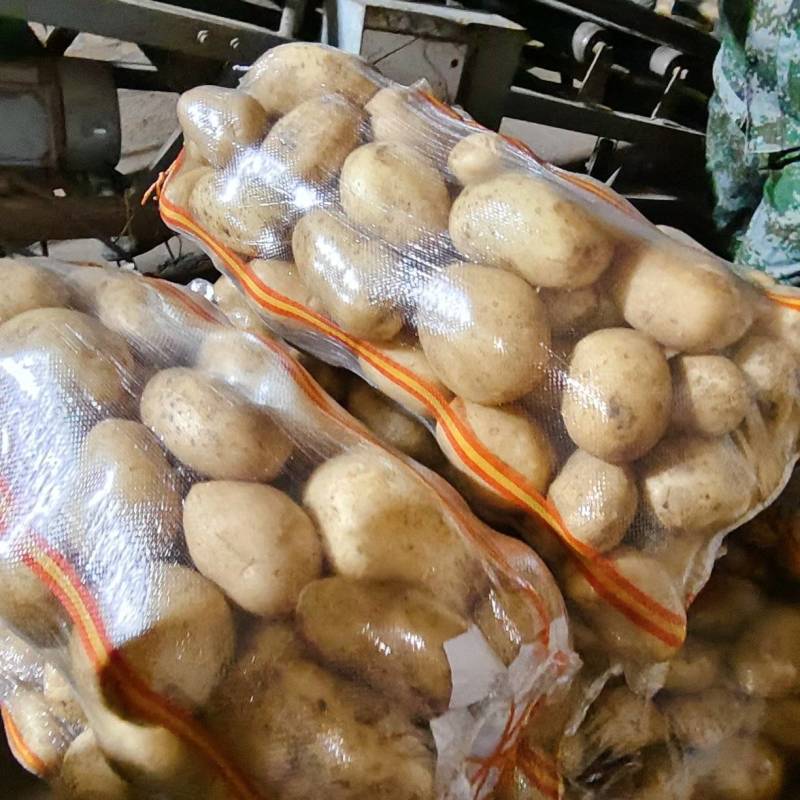 【实验一号】:颜色个头薯型都好质优价廉。