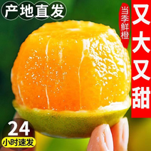 【9斤新鲜脐橙】一件发货橙子甜橙子当季新鲜水果整箱薄皮