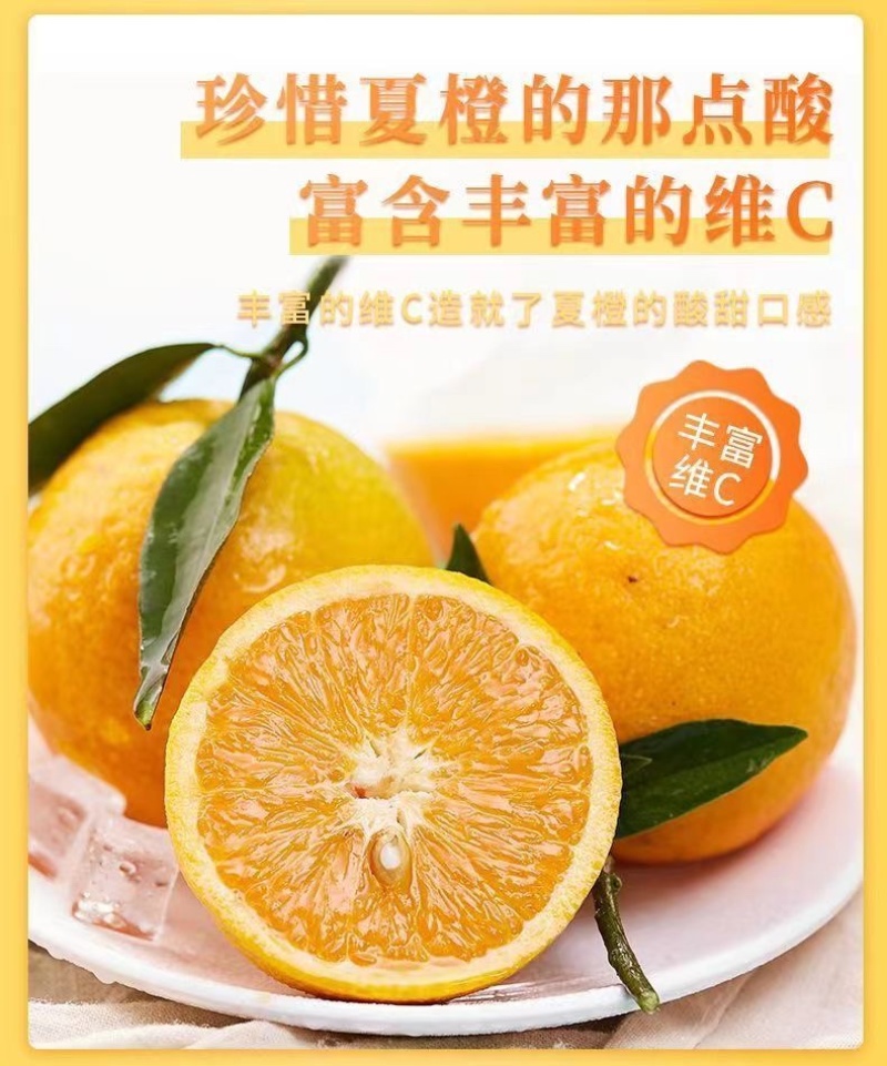 【5斤9斤新鲜脐橙】一件发货橙子甜橙子当季新鲜水果整