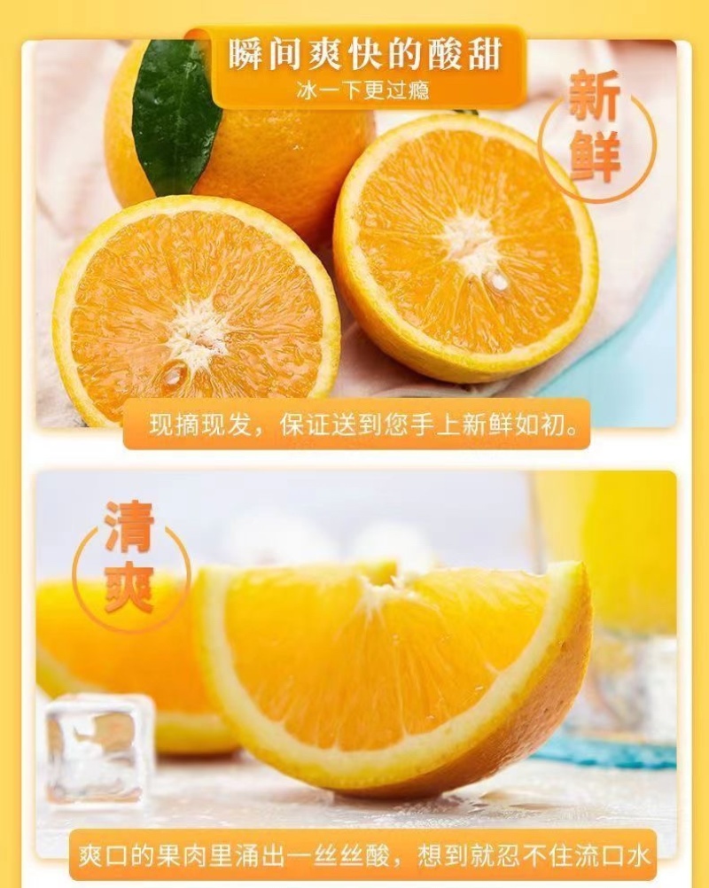 【5斤9斤新鲜脐橙】一件发货橙子甜橙子当季新鲜水果整