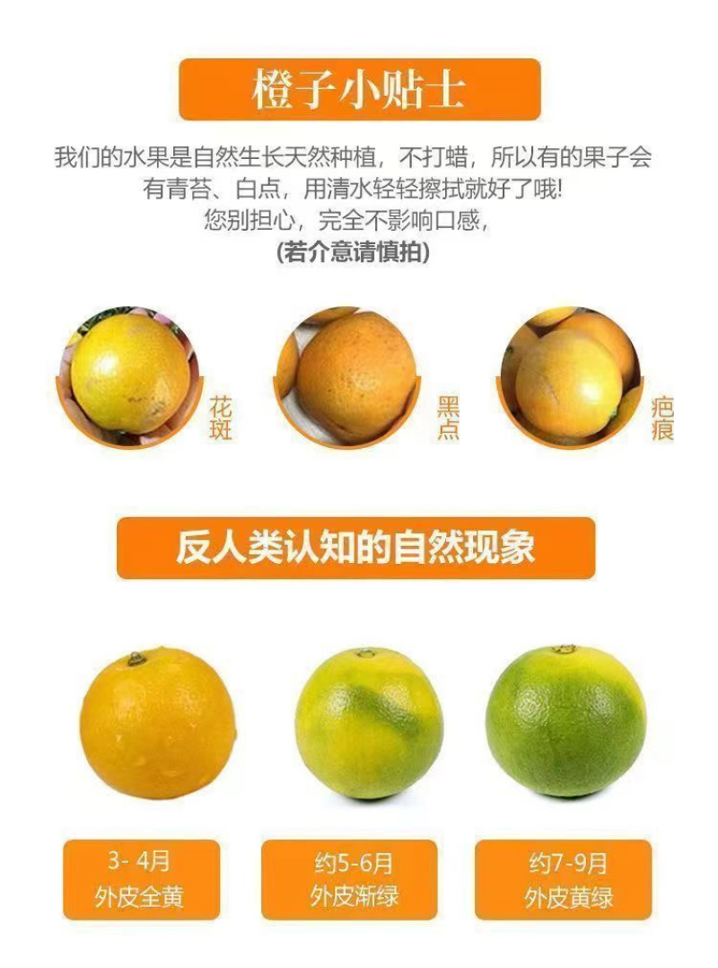 【5斤9斤新鲜脐橙】一件发货橙子甜橙子当季新鲜水果整