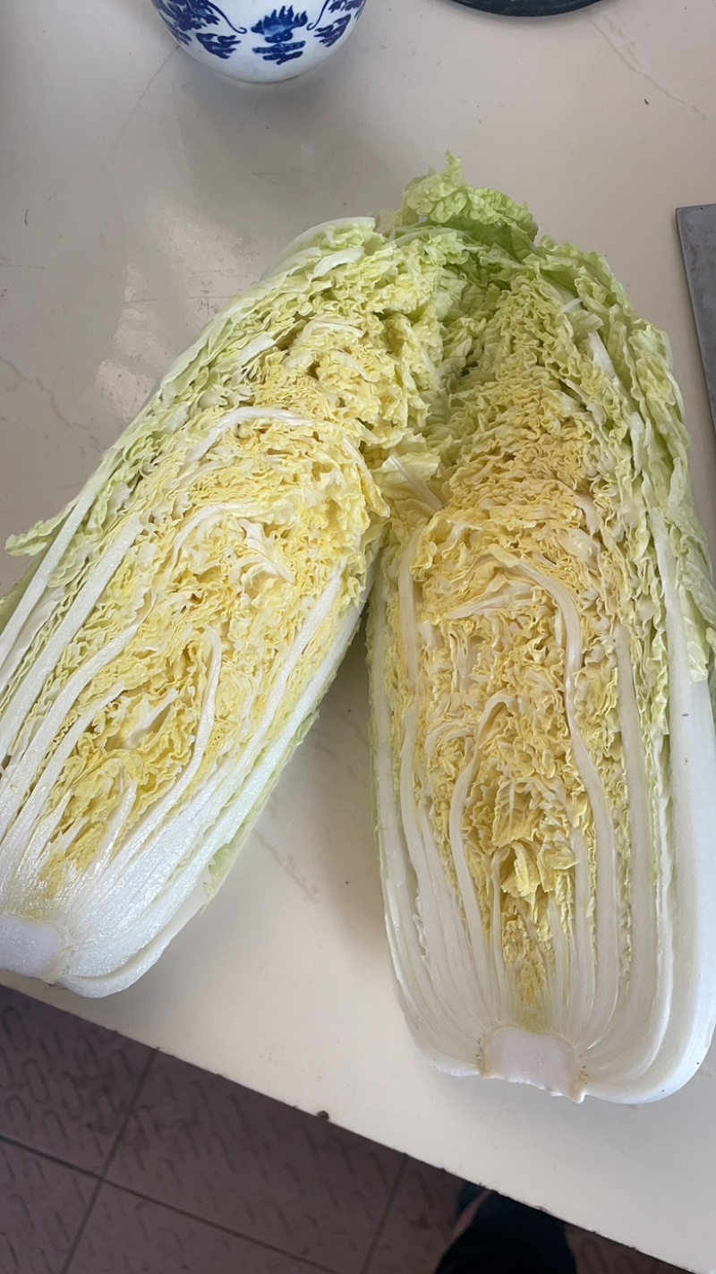 大白菜，秋宝，娃娃菜