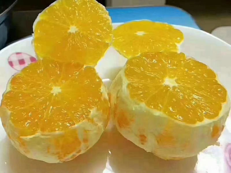 自家果园精品赣南脐橙一件20斤每箱电商货(彩箱发货)
