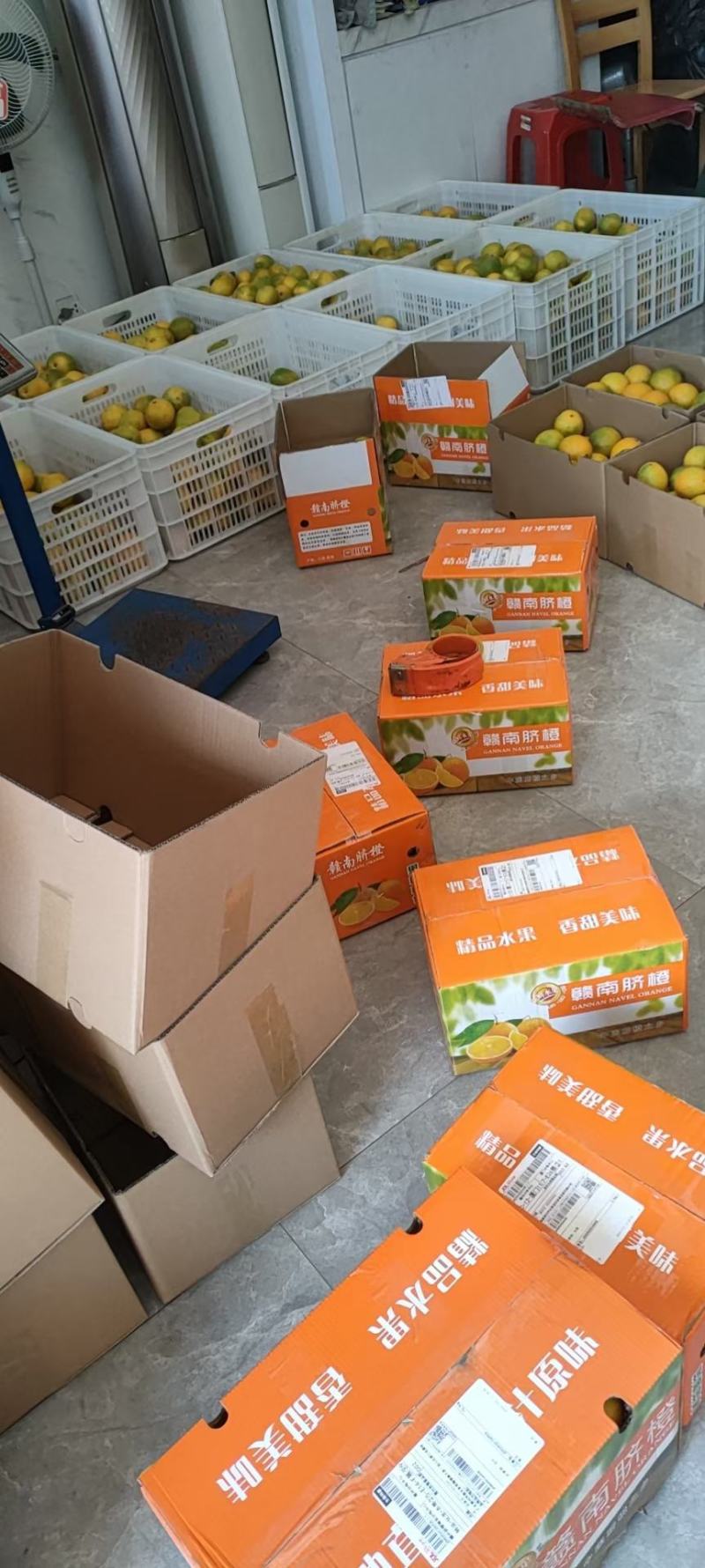 自家果园精品赣南脐橙一件20斤每箱电商货(彩箱发货)