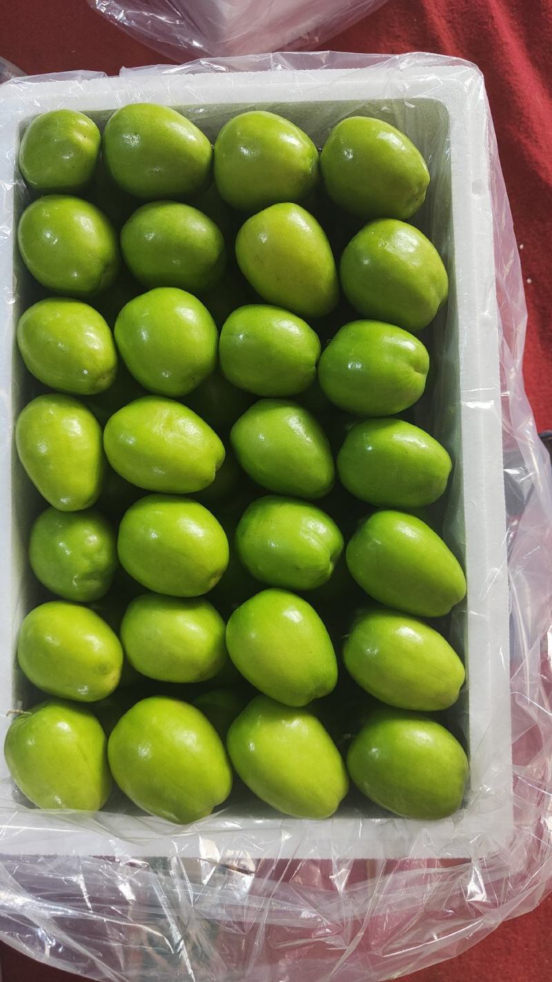 云南大青枣好吃又甜