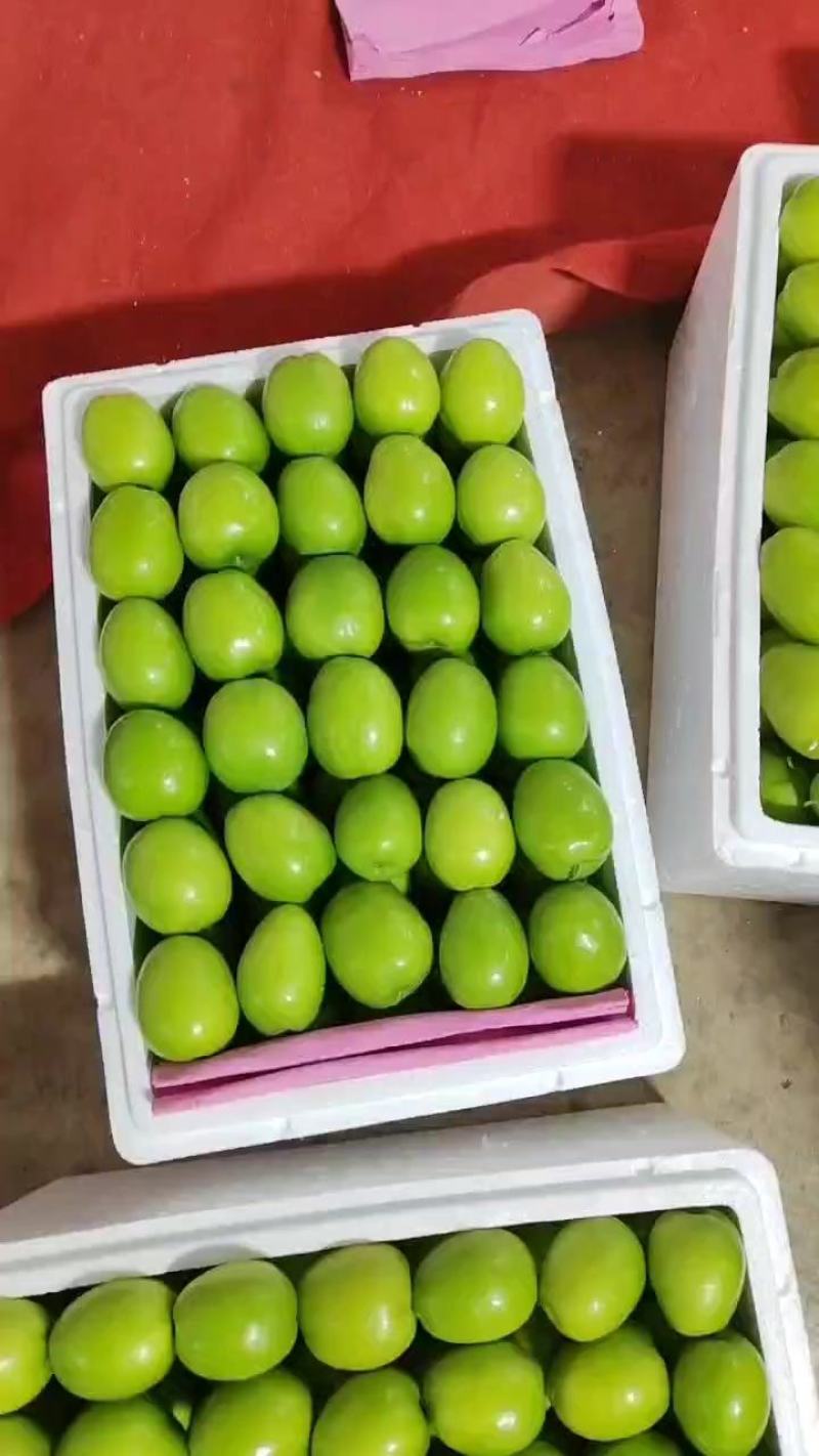云南大青枣好吃又甜