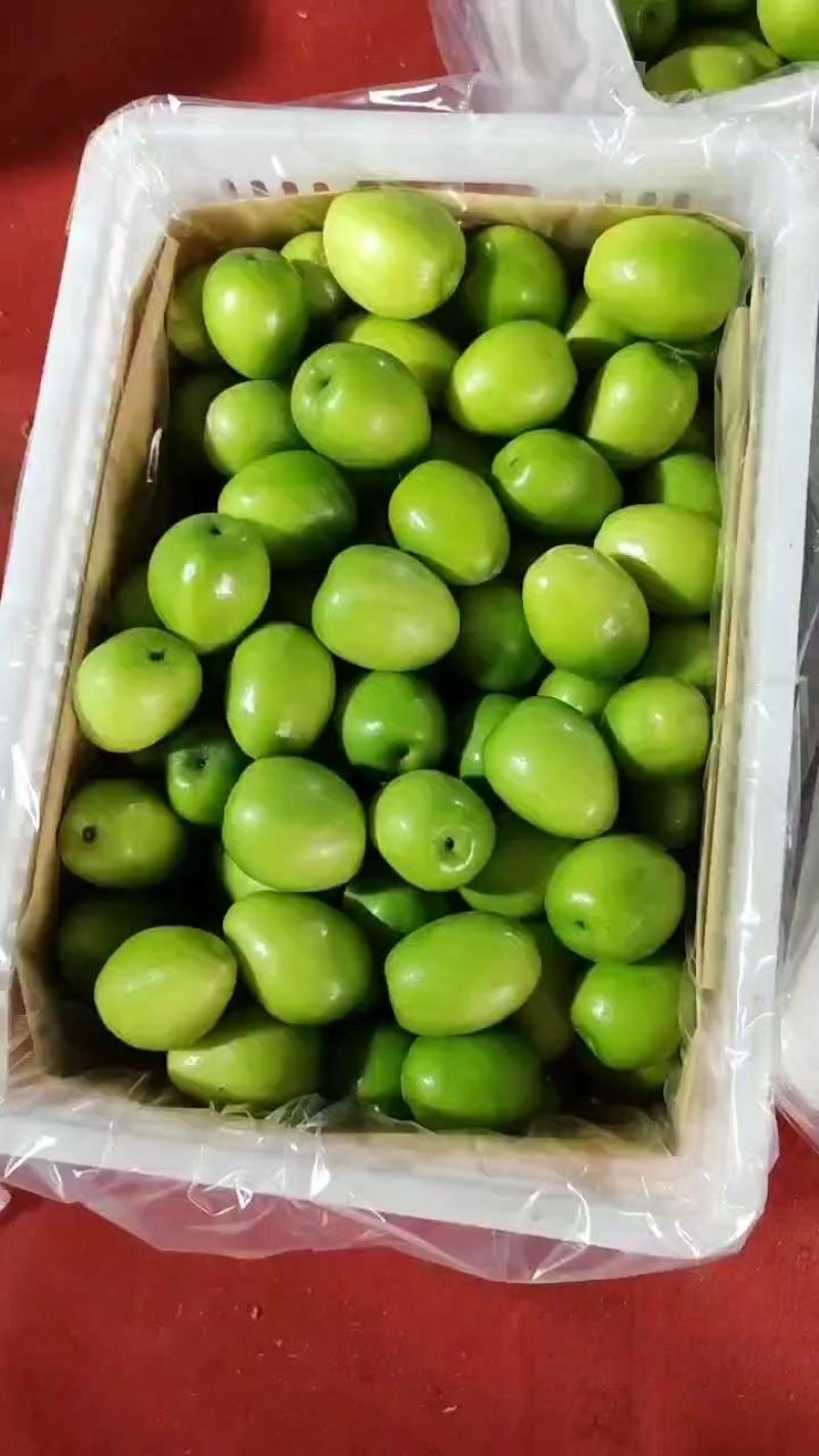 云南大青枣好吃又甜