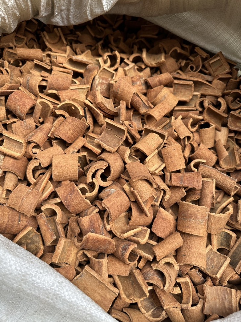 肉桂广西桂皮质好价优产地直发量大从优欢迎采购