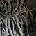木炭、纯荔枝龙眼果树炭，烧烤、取暖、耐用、无炭头、无炭皮