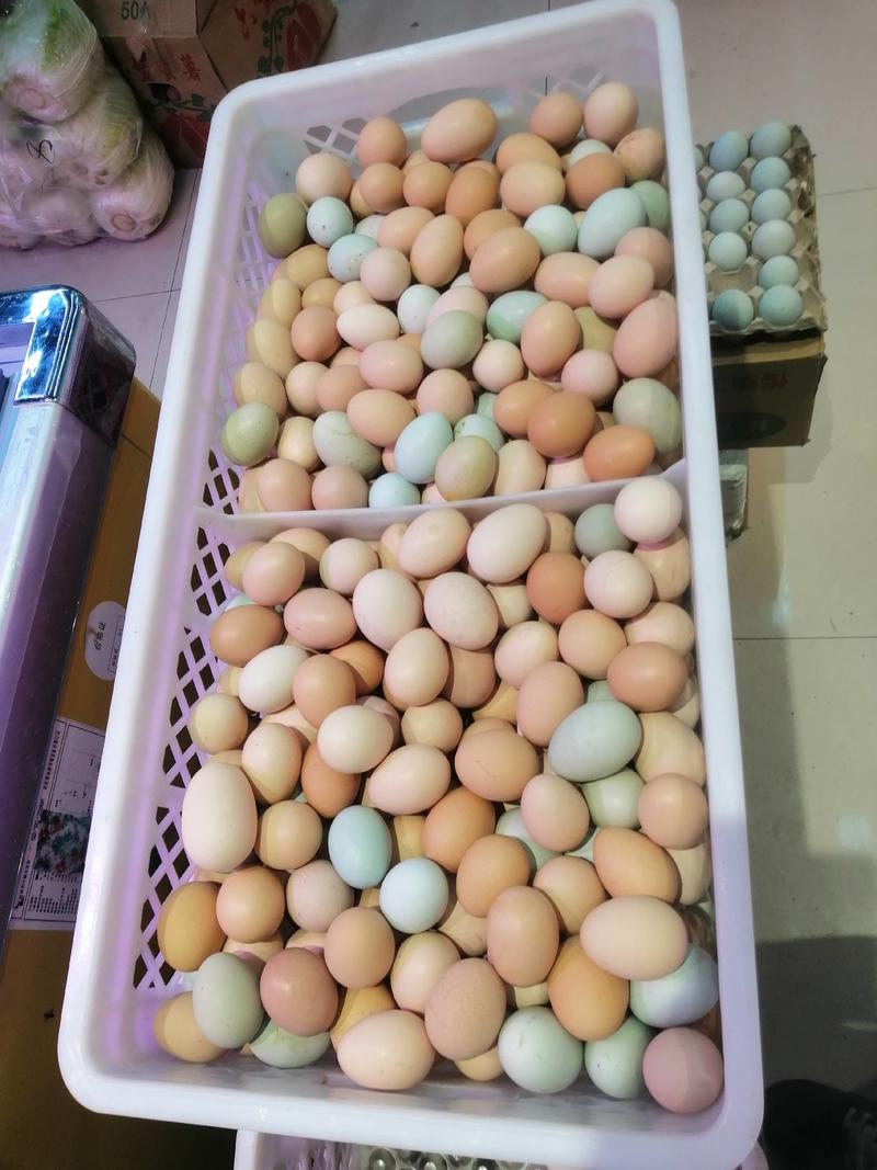 【推荐】山东潍坊黑风，粉8鸡蛋厂家直供价格真实