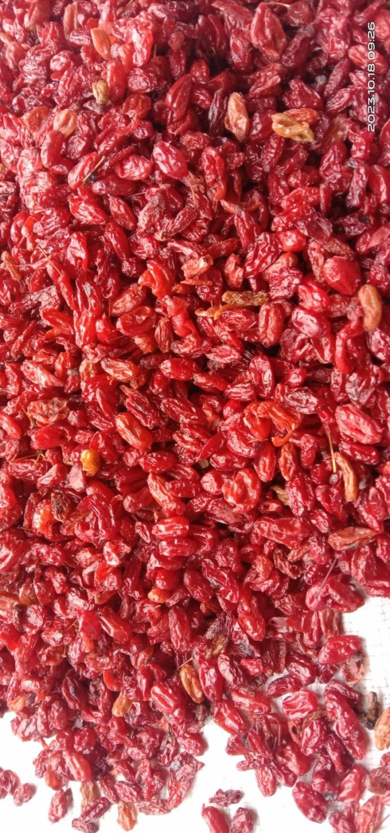陕西汉中精品，山萸肉，山茱萸，枣皮大量供货