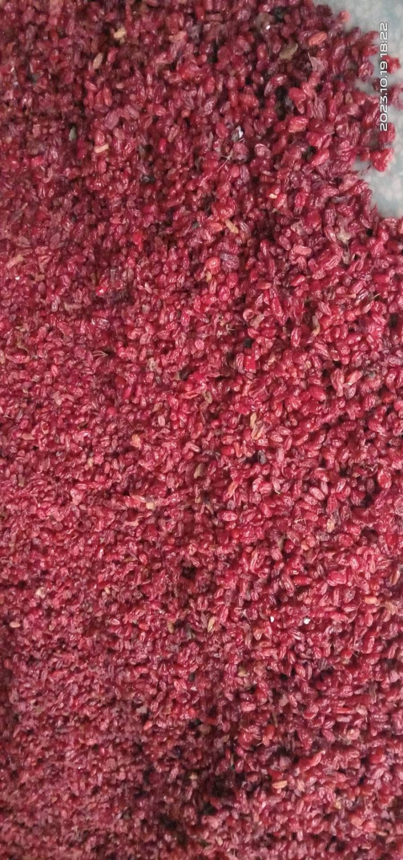 陕西汉中精品，山萸肉，山茱萸，枣皮大量供货