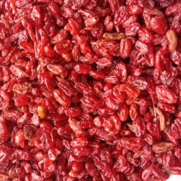 陕西汉中精品，山萸肉，山茱萸，枣皮大量供货