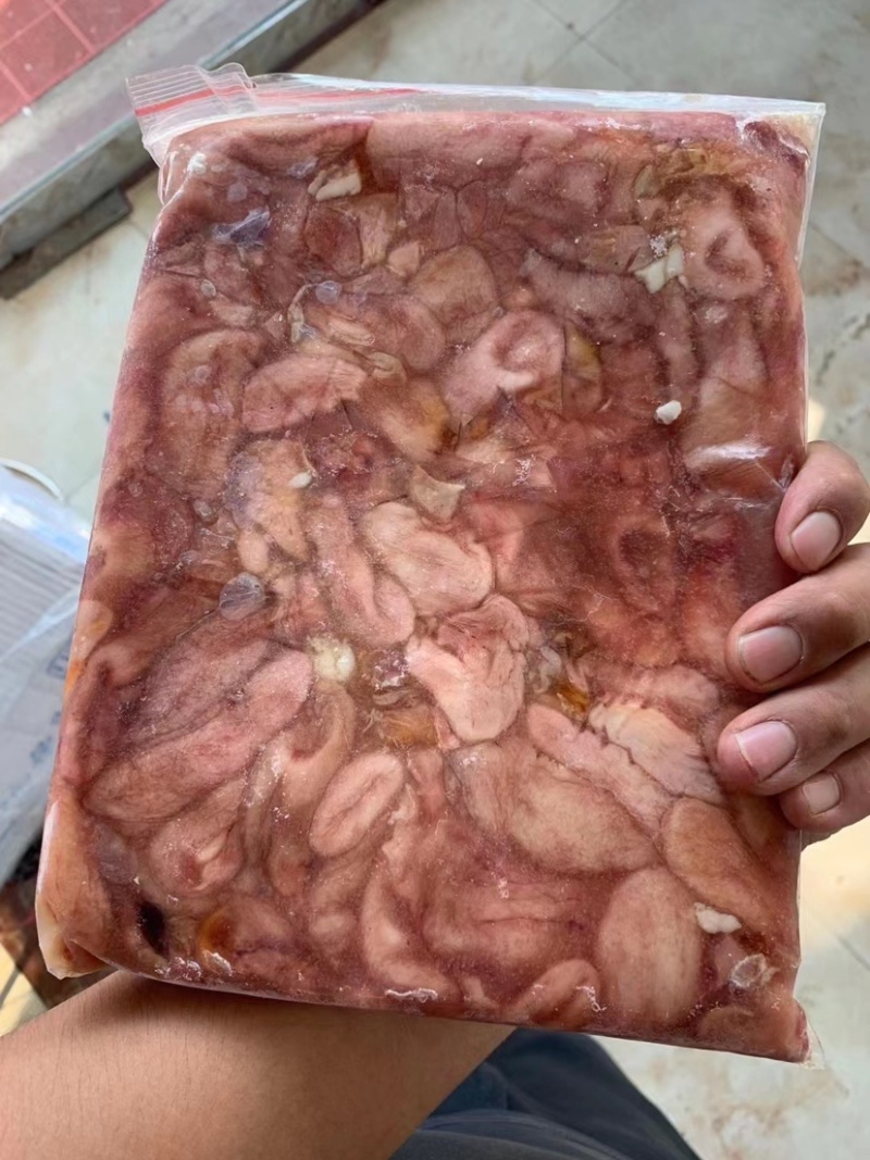 鲜冻巴沙鱼肚鱼泡鱼杂鱼鳔龙利鱼鱼肚