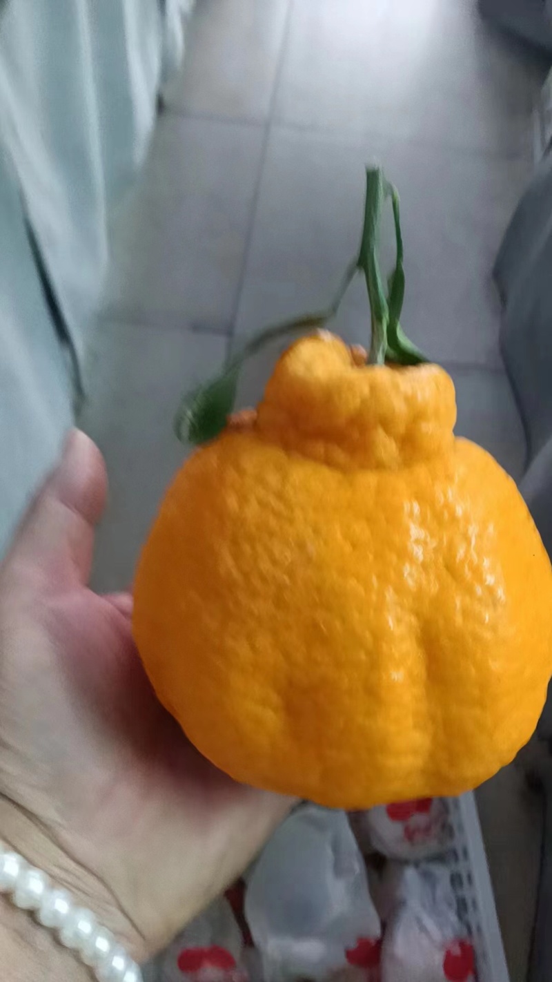 丑八怪