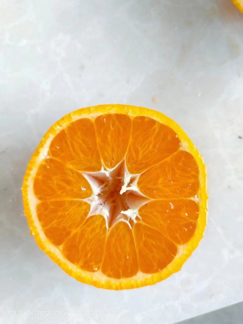 丑八怪