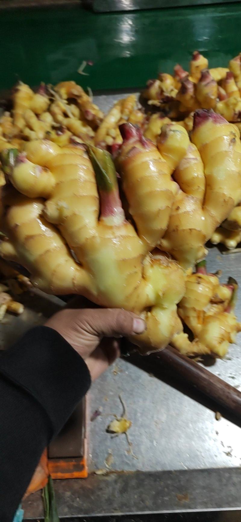 山东产地红芽大黄姜新姜块头大质量好质量有保障