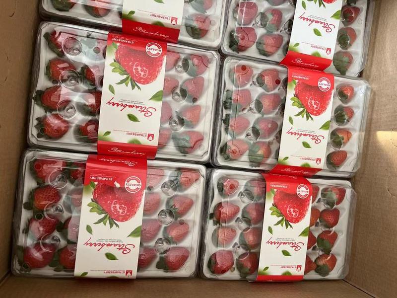 《红颜草莓》徐州草莓支持代发大量上市规格齐全欢迎采购