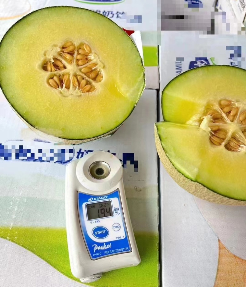 【优选】海南玫珑绿宝蜜瓜产地直发-量大从优-价格优惠