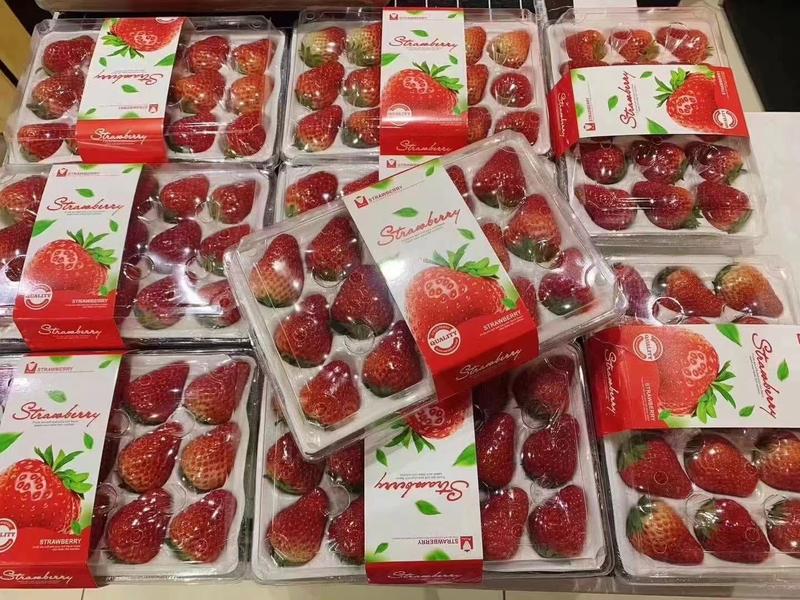 《徐州草莓》甜宝草莓奶油草莓产地直发货源稳定支持代发