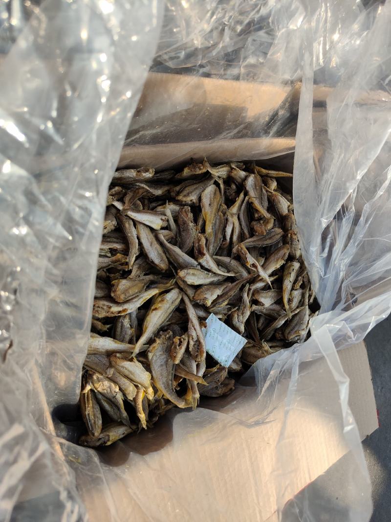 香酥小黄鱼，商超可供，展会。酥脆入骨，老少皆宜休闲零食