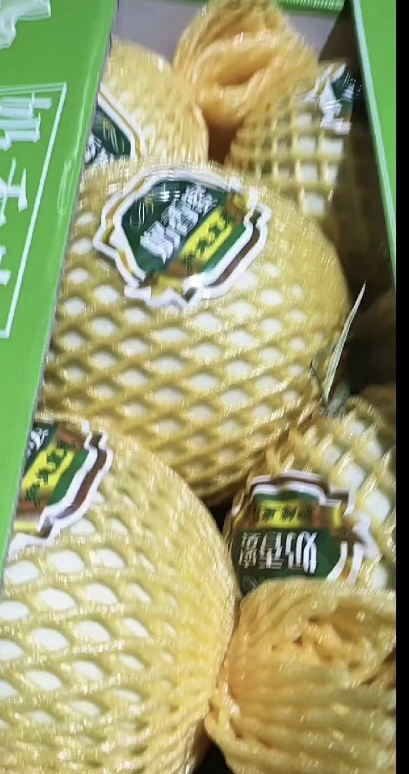 海南哈密瓜玉菇可对接市场社区团购，各大超市当口等