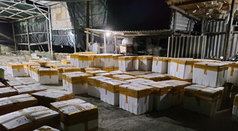 福建生蚝，产地直发，半壳、全壳均有全国可发货、量大有优惠