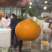 爱媛5斤小果直装箱引流款招商一件代发14米一件包邮包售后