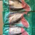 腌制反骨巴沙真空独立包装口感嫩滑