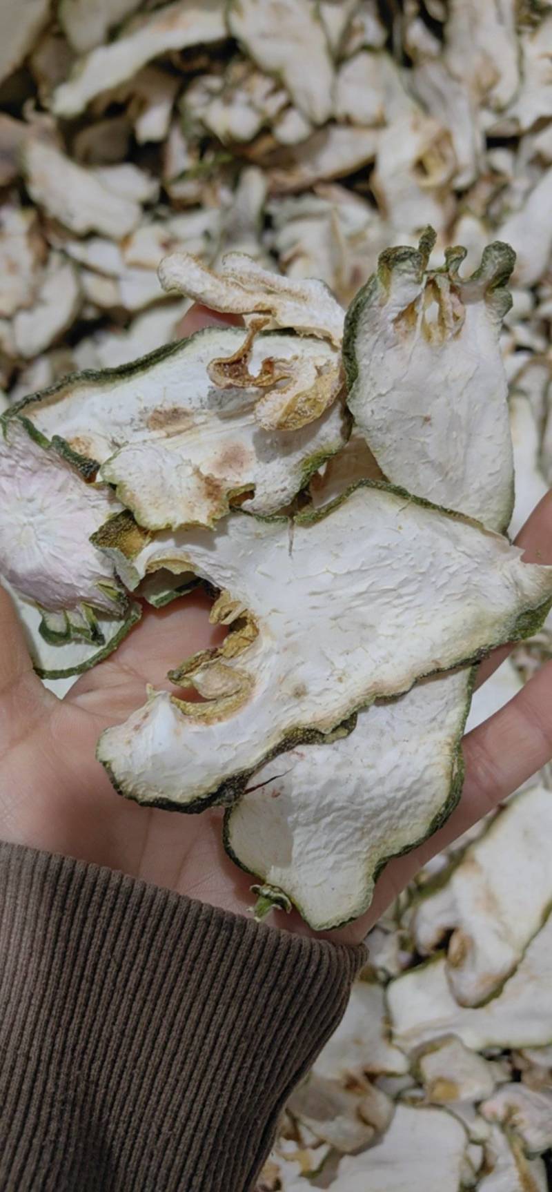 佛手佛手片佛手新货佛手颜色好量大价优