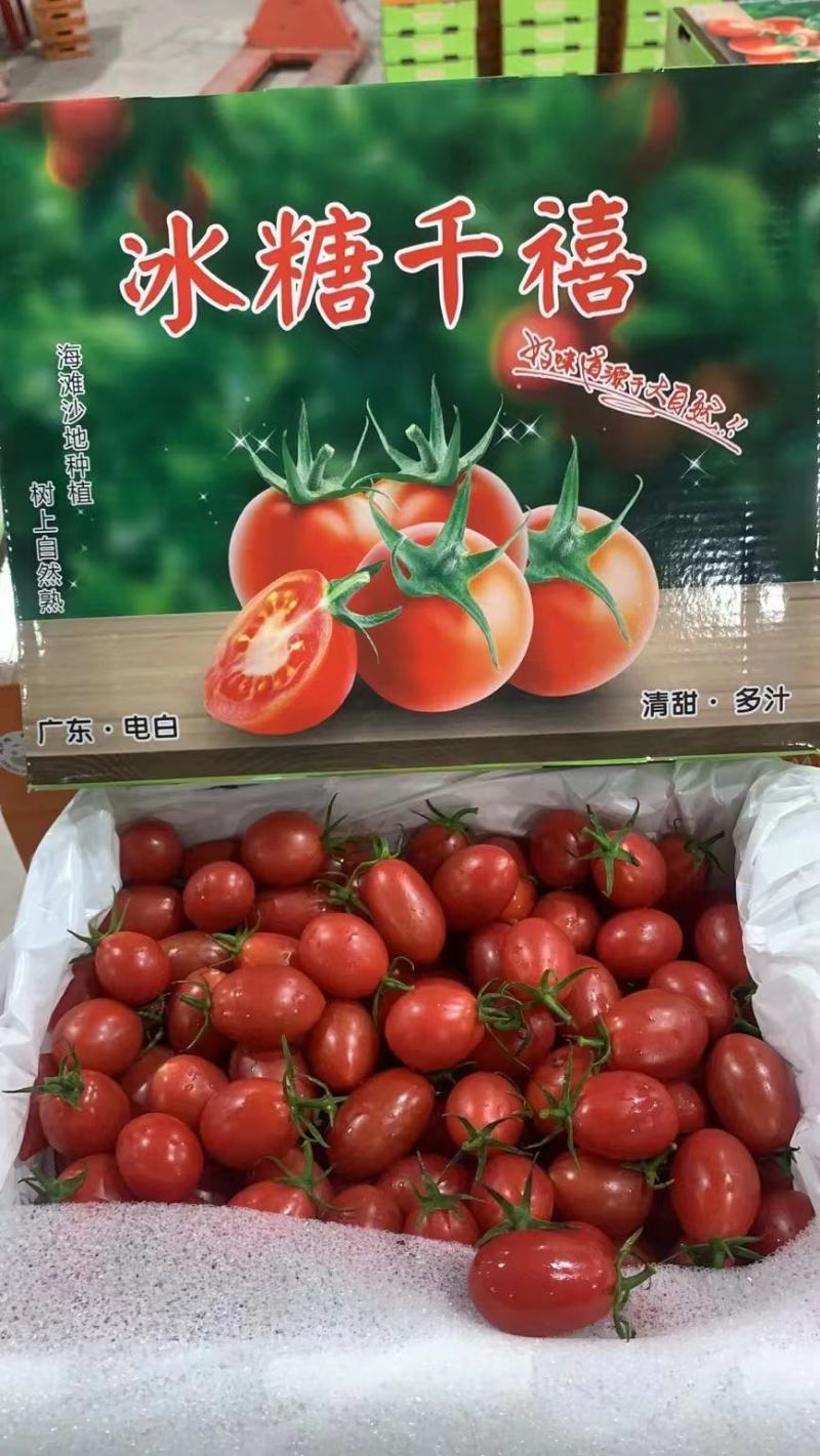 广东电白千禧圣女果供应链中心代收代发全产业链一件代发