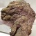 肉条肉片香辣五香两种口味门市地摊展销批发