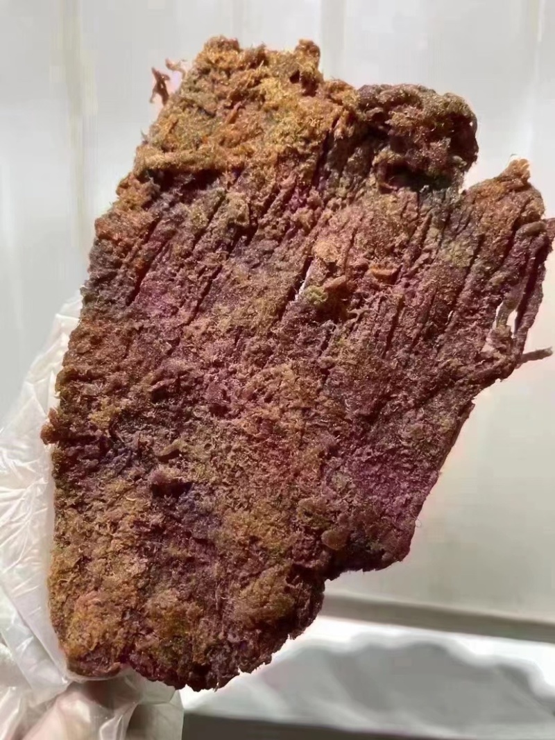 肉条肉片香辣五香两种口味门市地摊展销批发