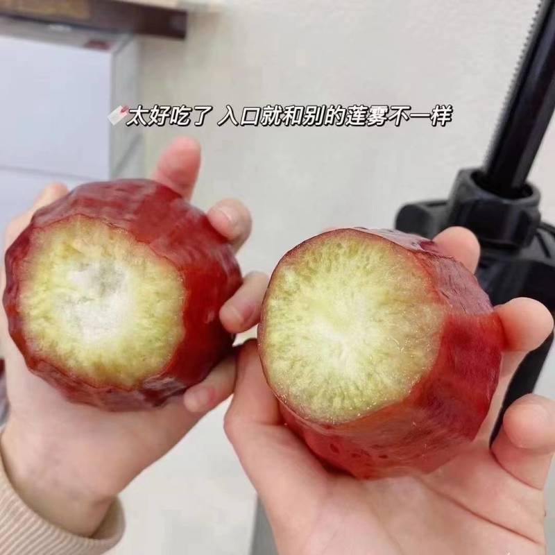 口感俱佳的三亚莲雾