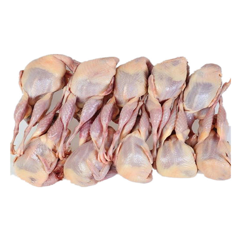 精选特大母鹌鹑鲜活现杀白条鹌鹑鸟肉非乳鸽烧烤炖汤饭店批发