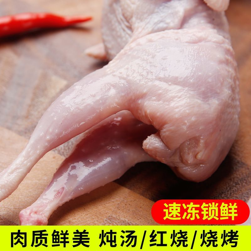 精选特大母鹌鹑鲜活现杀白条鹌鹑鸟肉非乳鸽烧烤炖汤饭店批发