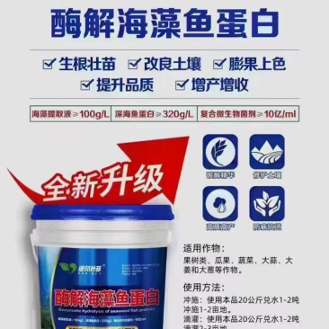 酶解鱼蛋白