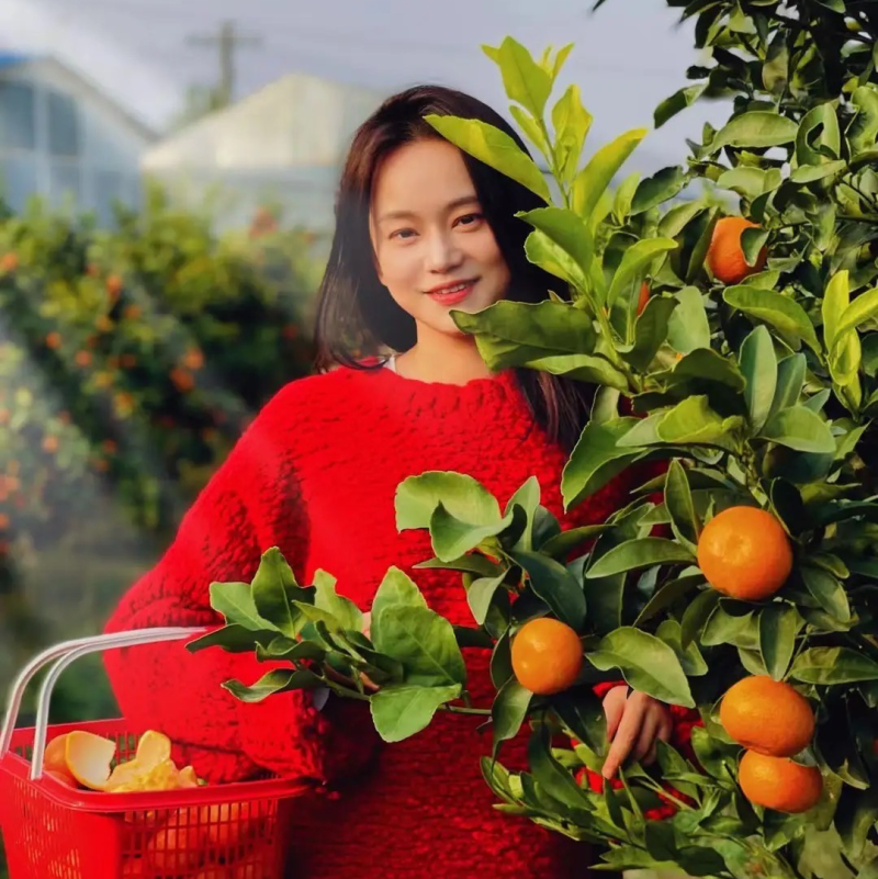 广西砂糖橘，果园直采，产地直发支持视频看货